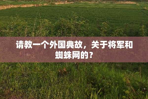 请教一个外国典故，关于将军和蜘蛛网的？