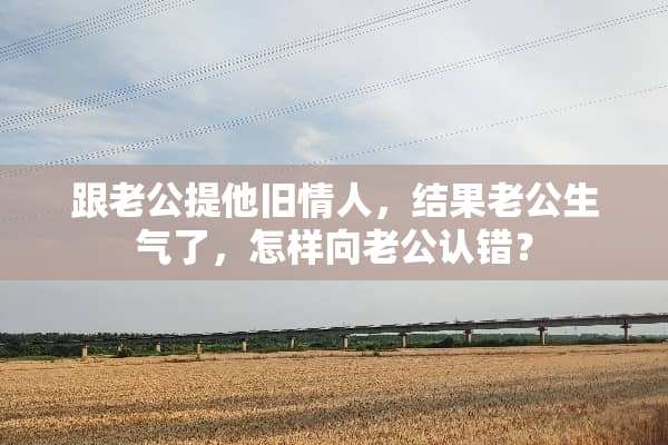 跟老公提他旧**，结果老公生气了，怎样向老公认错？