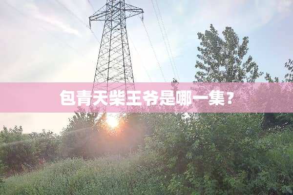 包青天柴**是哪一集？