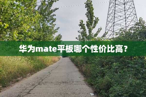 华为mate平板哪个性价比高？