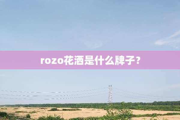 rozo花洒是什么牌子？
