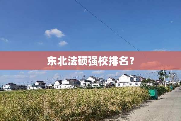 东北法硕强校排名？