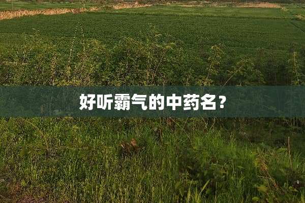 好听霸气的中药名？