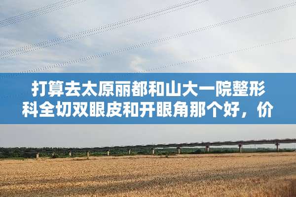打算去太原丽都和山大一院整形科全切双眼皮和开眼角那个好，价格多少钱，案例怎么样？
