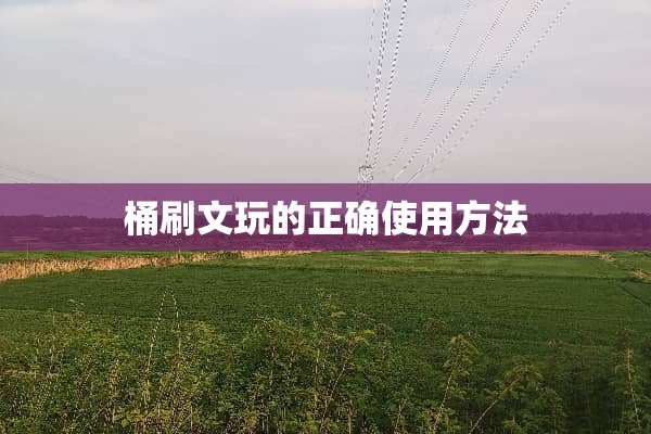 桶刷文玩的正确使用方法