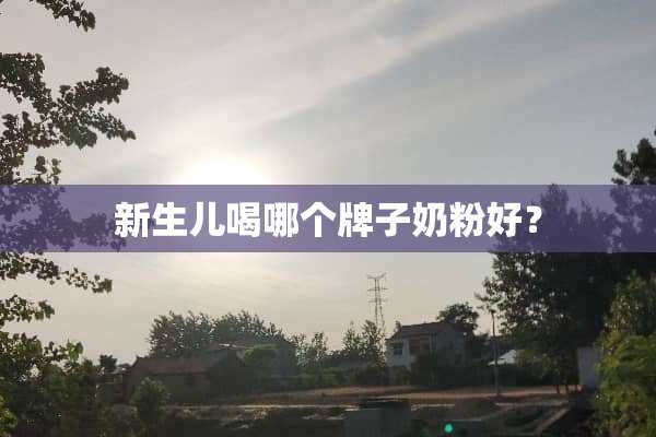 新生儿喝哪个牌子奶粉好？