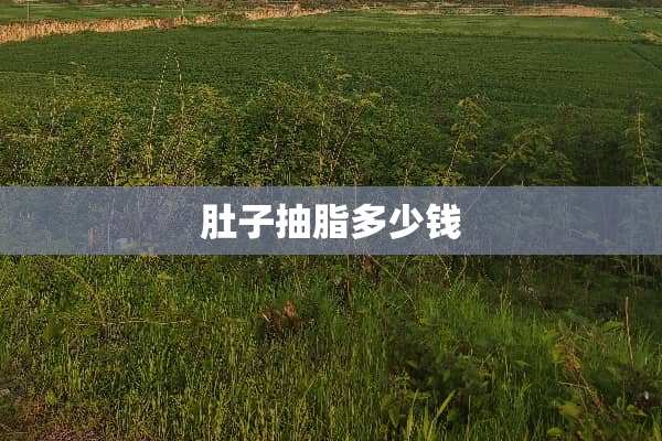 肚子抽脂多少钱