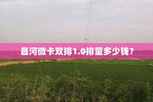 昌河微卡双排1.0排量多少钱？