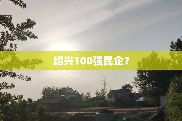 绍兴100强民企？