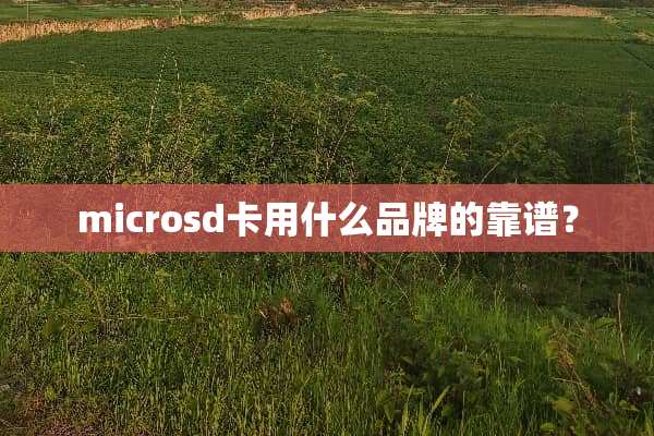 microsd卡用什么品牌的靠谱？