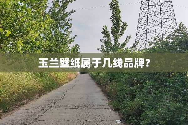 玉兰壁纸属于几线品牌？