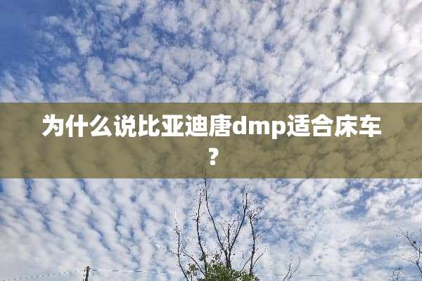 为什么说比亚迪唐dmp适合床车？