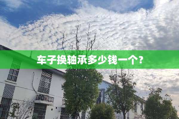 车子换轴承多少钱一个？