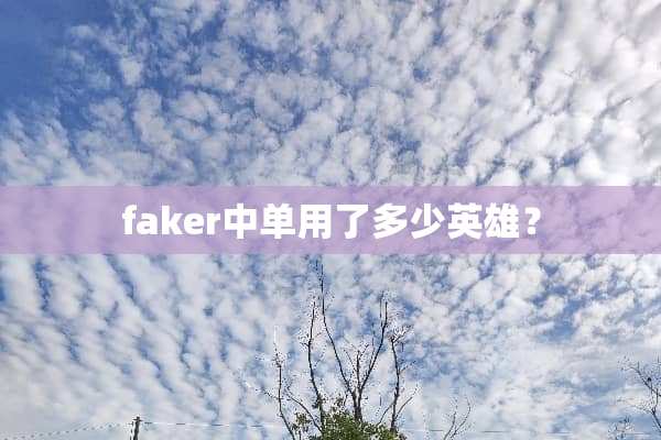 faker中单用了多少英雄？