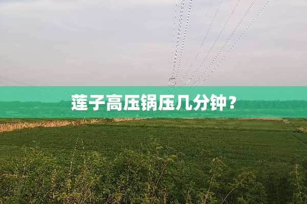 莲子高压锅压几分钟？