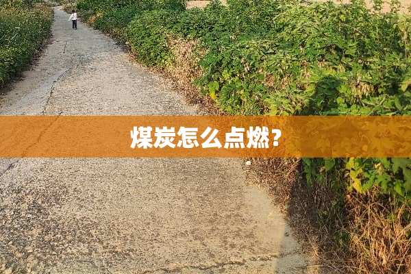 煤炭怎么点燃？