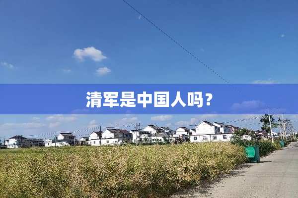 清军是中国人吗？