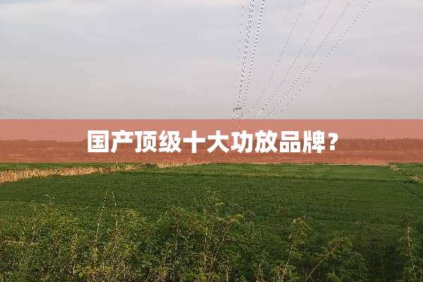 国产**十大功放品牌？