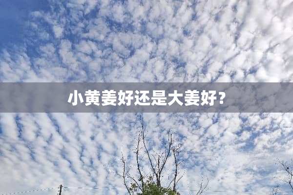 小黄姜好还是大姜好？