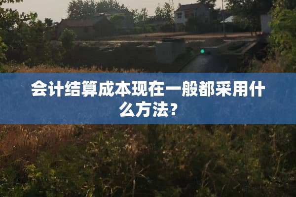 会计结算成本现在一般都采用什么方法？
