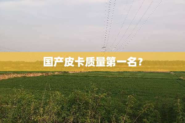 国产皮卡质量第一名？