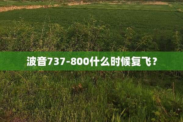 波音737-800什么时候复飞？