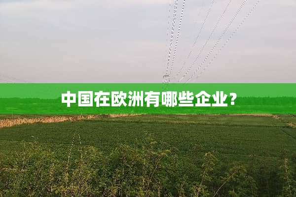 中国在欧洲有哪些企业？