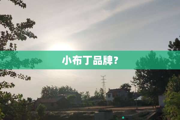 小布丁品牌？
