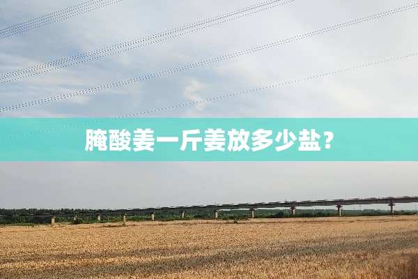 腌酸姜一斤姜放多少盐？