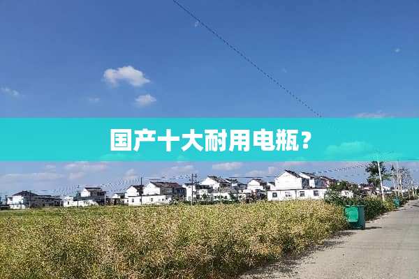 国产十大耐用电瓶？