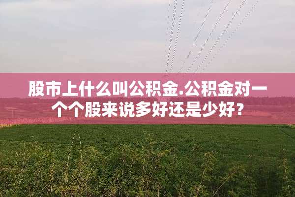 股市上什么叫公积金.公积金对一个个股来说多好还是少好？