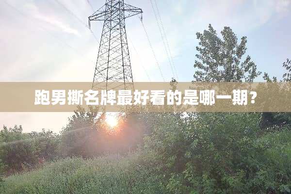 跑男撕名牌最好看的是哪一期？