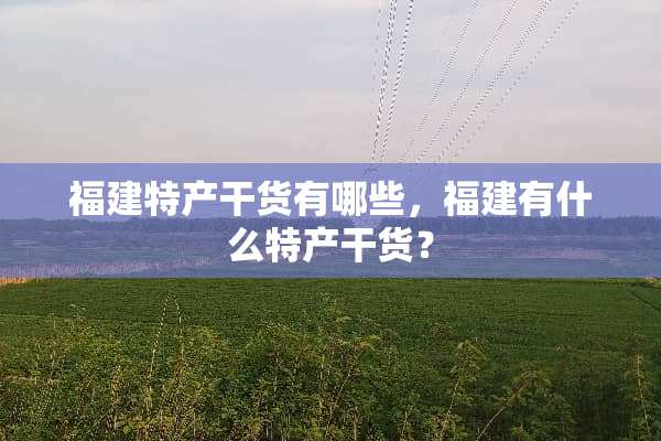 福建特产干货有哪些，福建有什么特产干货？