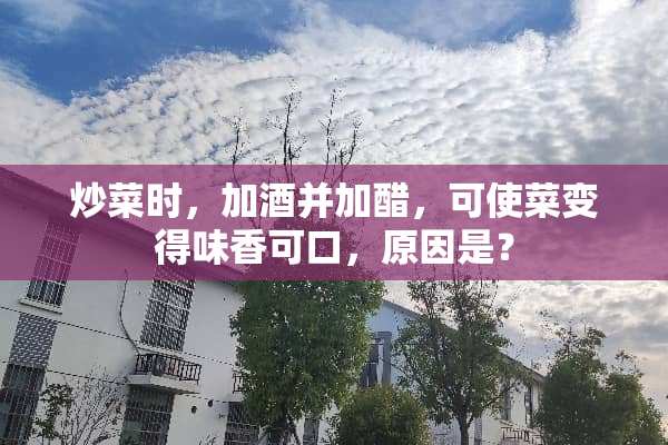 炒菜时，加酒并加醋，可使菜变得味香可口，原因是？