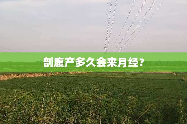 剖腹产多久会来月经？