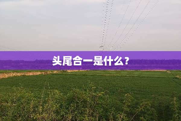 头尾合一是什么？
