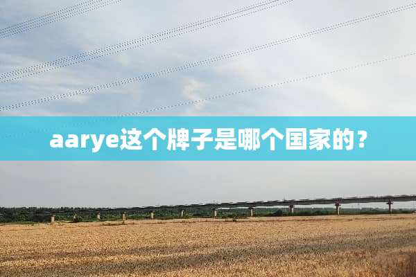 aarye这个牌子是哪个国家的？