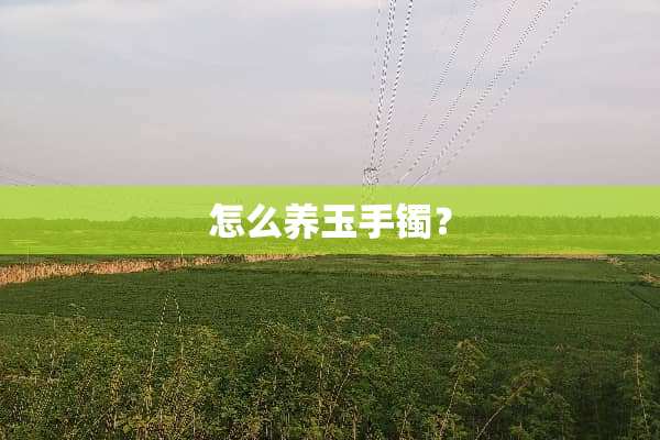 怎么养玉手镯？