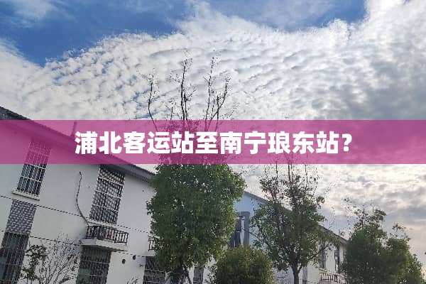 浦北客运站至南宁琅东站？
