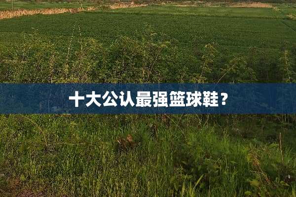 十大公认最强篮球鞋？