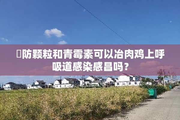 荊防颗粒和青霉素可以冶肉鸡上呼吸道感染感昌吗？