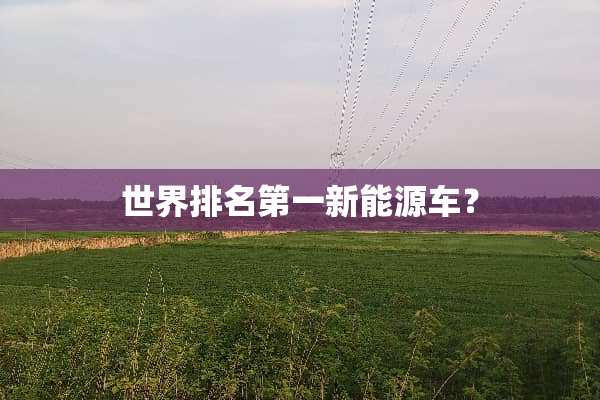 世界排名第一新能源车？