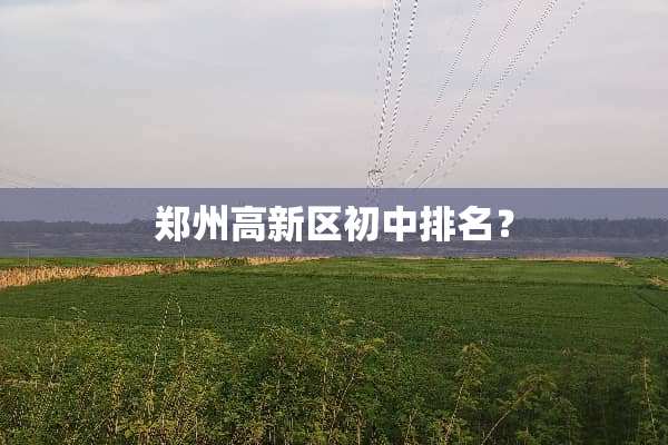 郑州高新区初中排名？
