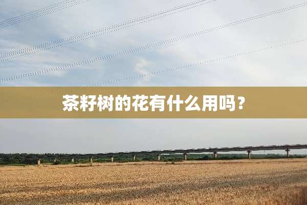 茶籽树的花有什么用吗？