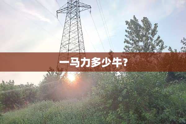 一马力多少牛？