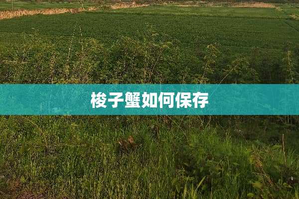 梭子蟹如何保存