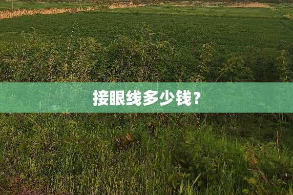 接眼线多少钱？