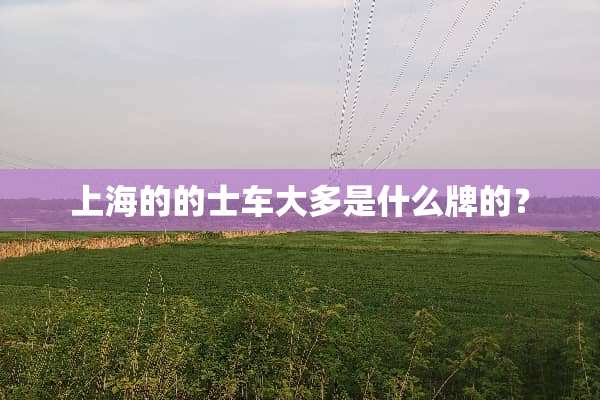 上海的的士车大多是什么牌的？