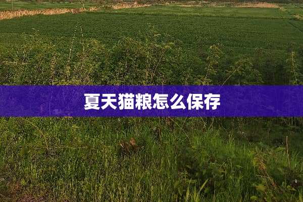 夏天猫粮怎么保存