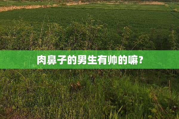 肉鼻子的男生有帅的嘛？